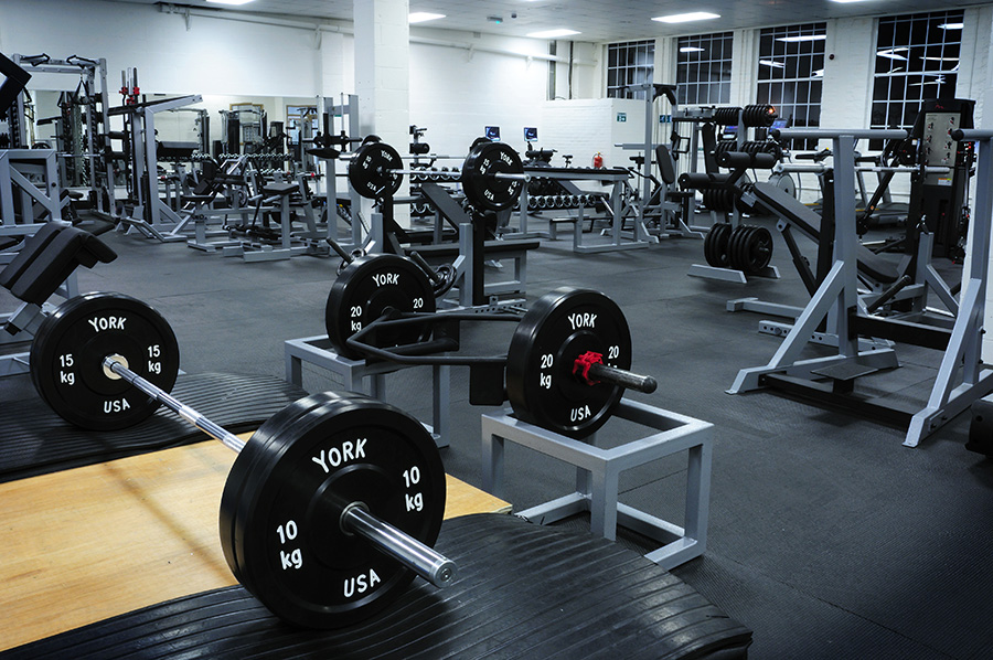 free weights Calgary gym